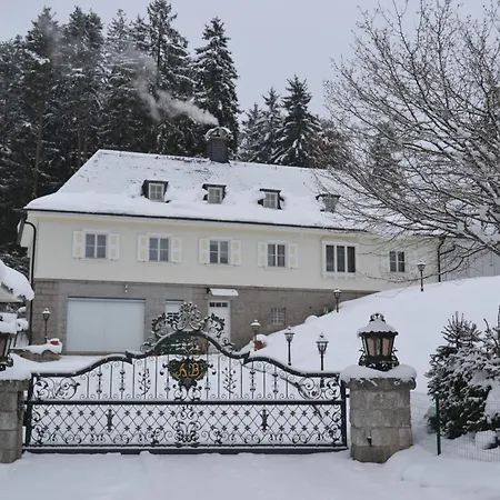 Schwarwald * Schluchsee